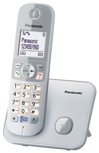 Panasonic KX-TG6811JTS Telefono Cordless DECT, Schermo LCD da 1,8'', Base Design Sottile e Compatto, Argento/ Bianco