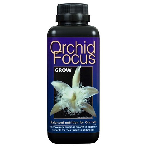 ORCHID FOCUS GROW 1L