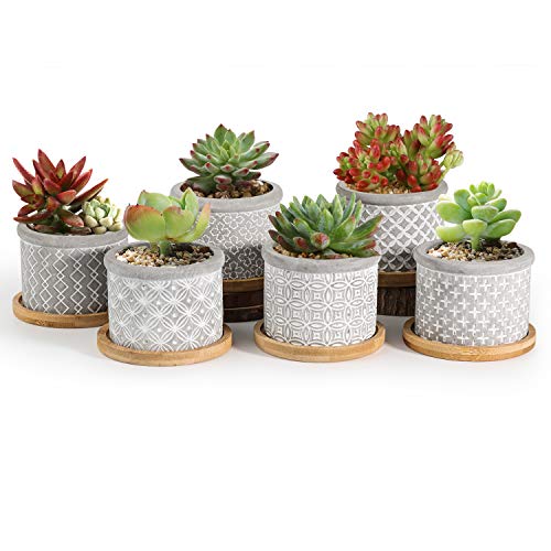 T4U 6CM Cement Succulent Pots with Bamboo Tray 6-Set, Concrete Cactus Pots Small Cacti Planter Grey Gardening Plant Pot Container for Home And Office Decoration Birthday Wedding