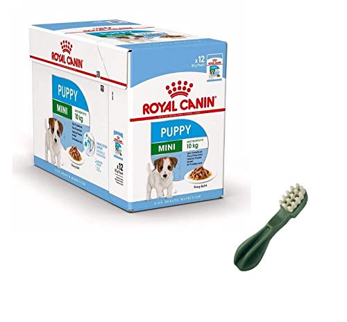 puppy Royal canin Mini Cibo Umido per Cuccioli 12 bustine da 85 gr Piu Snack vegetale spazzolino per la Pulizia dei Denti Cani Cuccioli
