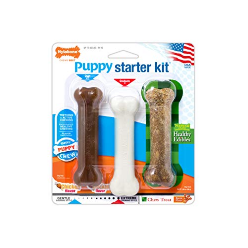 Nylabone N201 PSKP Puppy Starter Kit - marrone e bianco