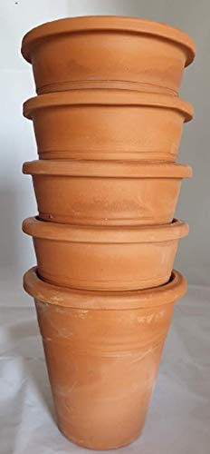 VASI IN TERRACOTTA (SET DI 8 PEZZI); ALTEZZA CM. 13, DIAMETRO CM. 13. VASO PIANTINE GRASSE GIARDINAGGIO