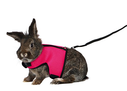 Trixie morbido imbracatura con guinzaglio per animali di piccola taglia, 25 – 40 centimetres x 1.20 metre, 1Pezzo, [Colori Assortiti]