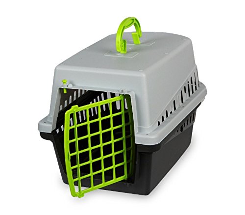 MEDIA WAVE store 10570 Trasportino con griglia in plastica per Cani e Gatti da Viaggio 50 cm (Verde)