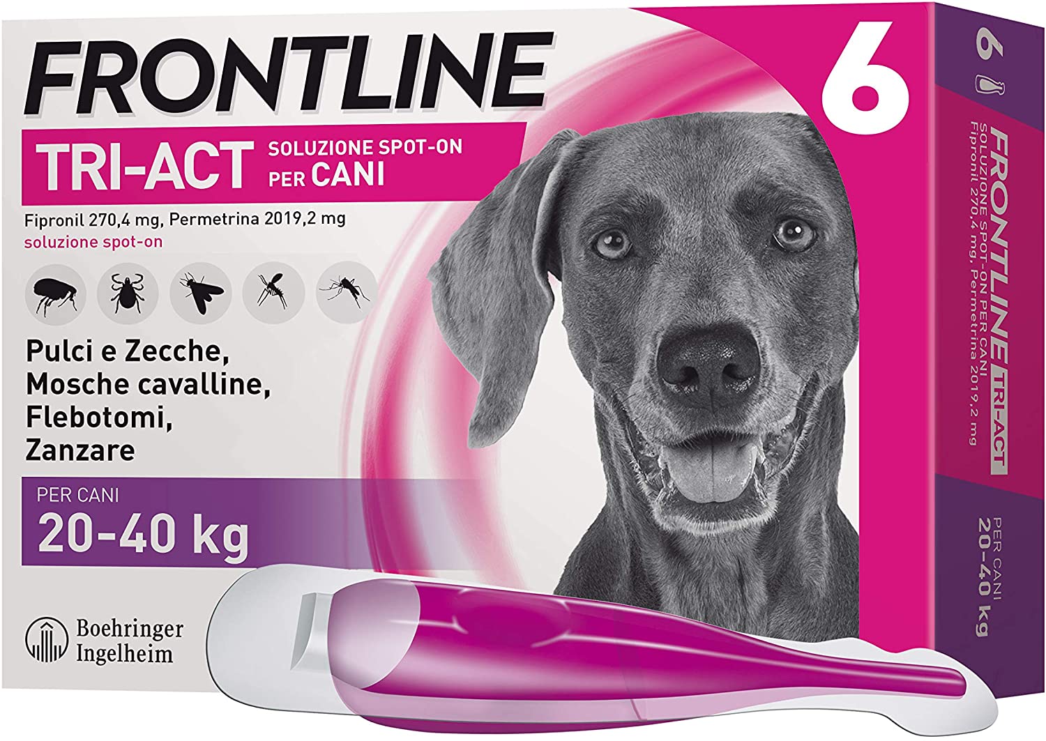 Frontline | TriAct Spot On Cani | Protezione da pulci, zecche, mosche cavalline pappataci | 6 Pipette | Cane L (20 - 40 Kg)