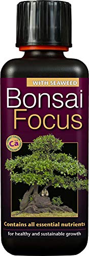 Growth Technology - Bonsai Focus, Fertilizzante liquido concentrato per bonsai, 300 ml