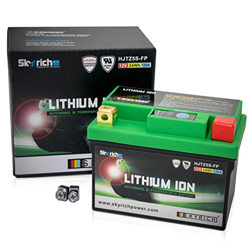 Skyrich HJTZ5S-FP batteria ricaricabile industriale Litio 12 V