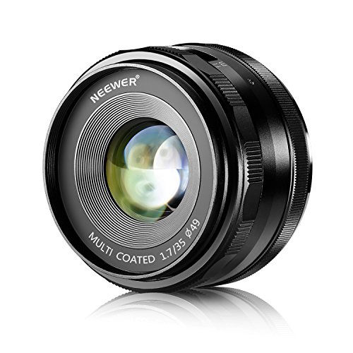 Neewer 35mm f/1.7 Lenti con Fuoco Manuale per Fotocamere Digitali Sony E-Mount con Sensore APS-C, come Sony A7III A9 NEX 3 3N 5 NEX 5T NEX 5R NEX 6 7 A6400 A5000 A5100 A6000 A6100 A6300 A6500