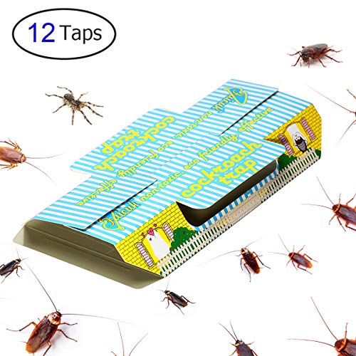 Trapro - Trappola adesiva per scarafaggi, con esca, non tossica e ecologica, 12 pezzi