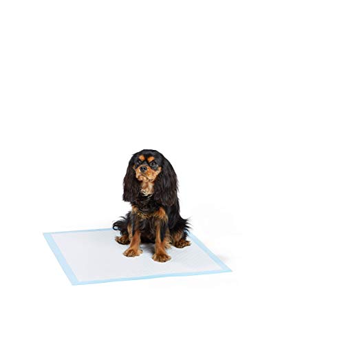 AmazonBasics - Tappetini da addestramento per animali domestici e cuccioli, modello ultra-robusto, Normale - Pacco da 50