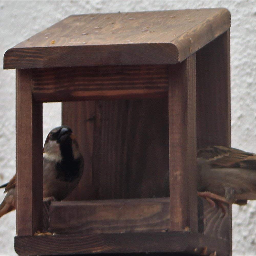 Mangiatoie per uccelli wengue