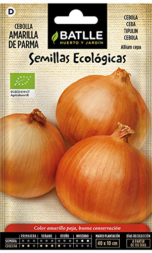 Semi bio - Parma Yellow Onion (210 Seeds - Organic)