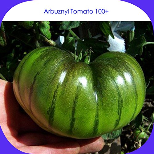 (Verde * Ambizu *) Arbuznyi Big Green di pomodori con semi verde scuro linea organica, Professional Service Pack, 100 semi