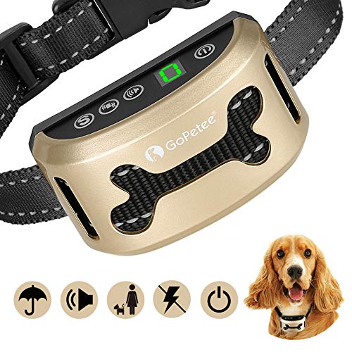 GoPetee Collare Antiabbaio Cane con Luce LED Suono & Vibrazione Fochea con 7 Livelli Regolabili di Sensitività Collare Automatico Antiabbaio Flessibile Regolabile Collare in Nylon Flessibile(Oro)