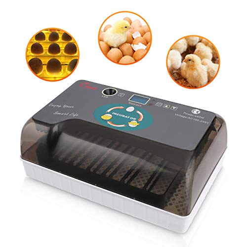 Incubatrice automatica a 12 uova Incubatrici con illuminazione a LED con display digitale e controllo della temperatura efficiente e intelligente