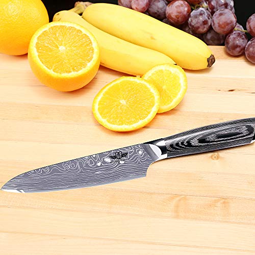 Kitchen Emperor Coltello Frutta, Coltello da Cucina Professionale, Lama in Acciaio Tedesco ad Alto tenore di Carbonio da 236 mm con Impugnatura ergonomica Confortevole