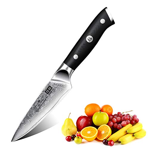 SHAN ZU Coltello di Damasco Coltelli per sbucciare Coltelli per Frutta e Verdura Giapponese Acciaio da 67 Strati- PRO Series