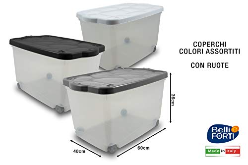 Contenitore Storage Box 60X40X36 Colori Assortiti