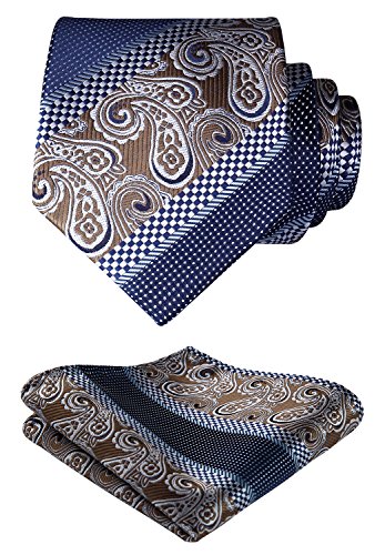 HISDERN Cravatta da Uomo Paisley Floreale Extra Lungo e Fazzoletto 8.5cm Cravatte e Fazzoletti Set Formale Matrimonio(160cm)