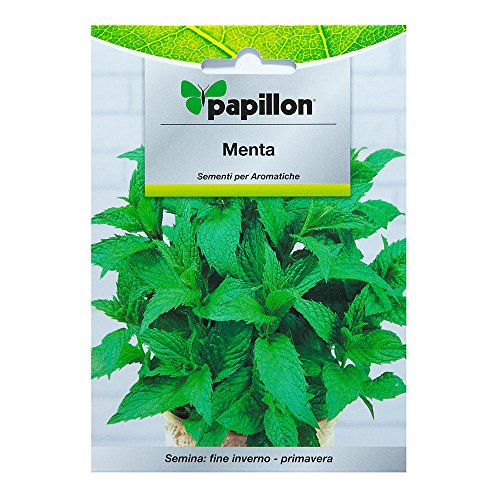 Sementi per orto MENTA Papillon