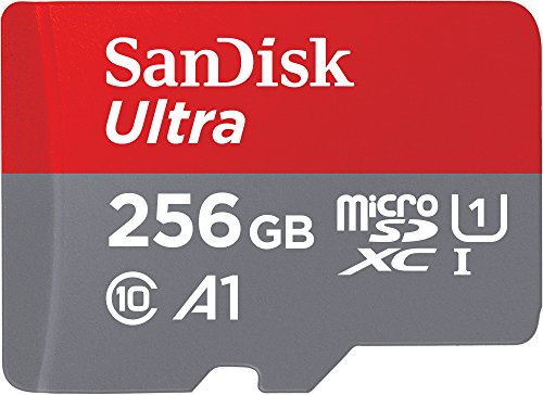 SanDisk Ultra Scheda di Memoria MicroSDXC e Adattatore, con A1 App Performance, Velocità Fino a 100 MB/Sec, Classe 10, U1, Single Pack, 256 GB