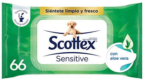 Scottex - Carta igienica delicata con aloe vera, umida, 70 strappi