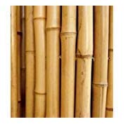 CANNE IN BAMBOO PER SOSTEGNO ORTAGGI E ALTRI USI DA CM 240 (15)