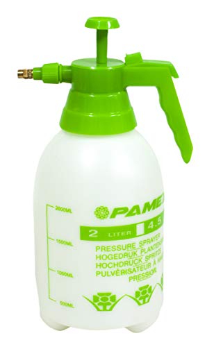 Pamex - Spruzzino, 2 l, Colore: Trasparente/Verde