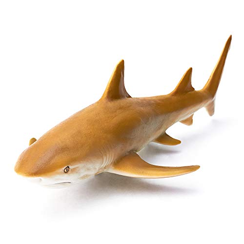 RECUR Giocattoli con Figure di squalo Falce di Limone, Collezione di Figurine di Squali oceanici Regalo Realistico di squalo Replica Ottimo per i Collezionisti della Vita dei Pesci dei Bambini