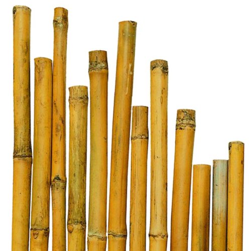 N° 50 Canne Bamboo Bambù cm 150 x Ø mm 20-22 Per piante,agricoltura,orto,arredi,strutture,decorazioni