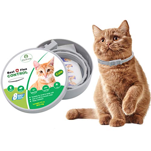 Homemp - Collare antipulci per gatti, 8 mesi, trattamento antipulci per gatti e cuccioli, da 33 cm.