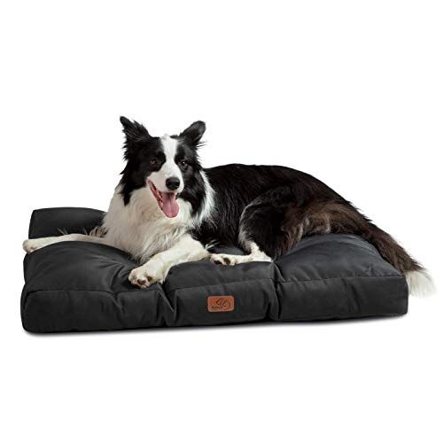 Bedsure Cuscino per Cane Medio - Cuscini per Cani Taglia Media Tappeto Cane Cuscino Cane Interno Cuscino Cuccia Cane Impermeabile 91x68x10 cm Nero Lavabile