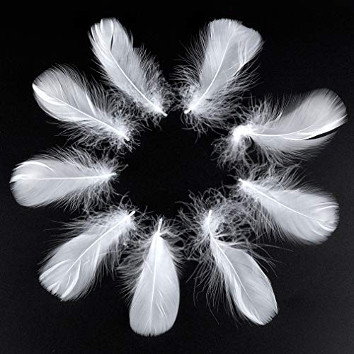 600 PCS Piume Bianco,di piume bianche naturali,Piume Artigianali per Fai da Te casa Piume di Nozze Decorazioni Artigianali