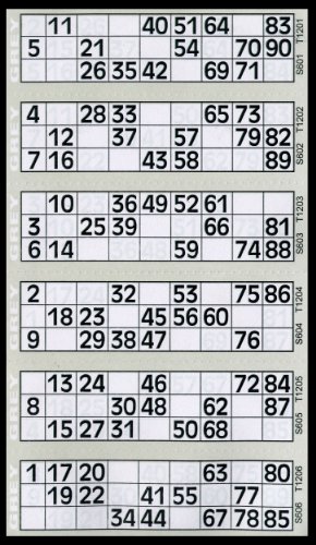 600 Tickets de Bingo Pad Gris - 6 pour afficher des Flyers