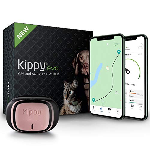 Kippy Evo - Collare GPS per Cani e Gatti con Localizzatore e Rilevatore dell'Attività e dello Stato di Salute - Accessori Cani e Gatti - con Batteria a Lunga Durata e Torcia LED - Rosa